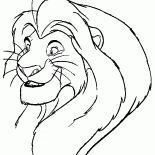 Simba ist gewachsen