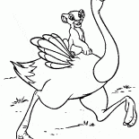 Simba auf einer Straußen