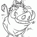 Pumbaa und urkomischen Erdmännchen