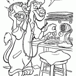 Wildcat Radio hören