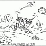 Quallen auf einer Verfolgungsjagd