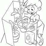 Lewis Richter Blumen