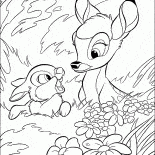 Hare and Bambi