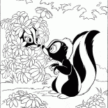 Skunks ausblenden