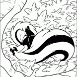 Skunk in den Urlaub
