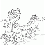 Bambi und der Frosch