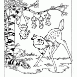 Opossums und Bambi