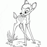 Bambi in der Wiese