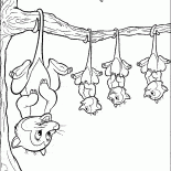 Opossums in Warte