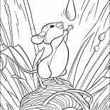 Waldmaus