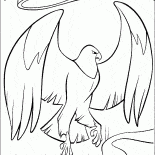 Eagle-Wächter