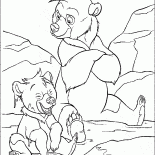 Koda und Kenai