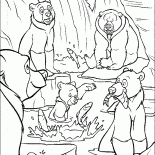 Bär Ältesten