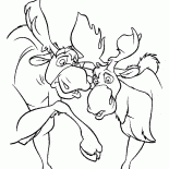 Mooses Spaß haben