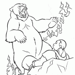 Bärenangriffe