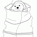 Bär versteckt