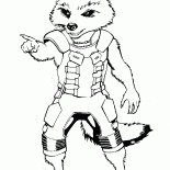 Creative-Waschbär