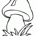 Pilz