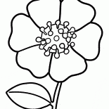 Blumen