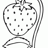 Erdbeere
