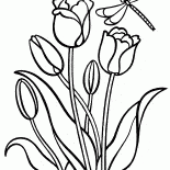 Tulpen