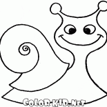 Schnecke auf dem Fuß