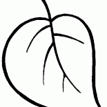 Blatt des Baumes