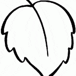 Blatt der Birke