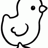 Stubenküken