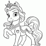 Pony Petit