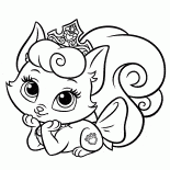 Kitty Cutie