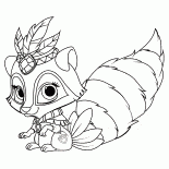 Raccoon Kornblume