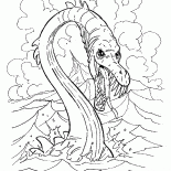 Sea dragon