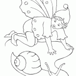 Fairy Schnecke