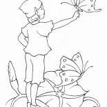 Elf-und Schmetterlings-