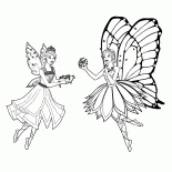 Mariposa und Catania