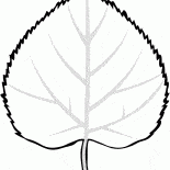 Blatt Linden
