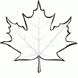 Maple leaf Stürze