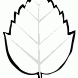 Baum Blatt