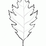 Eichenblatt