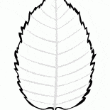 Birkenblätter