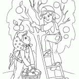 Ernten des Frühlings