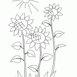 Sonnenblumen