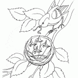 Die Küken im Nest