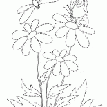 Schmetterling auf einer Blume