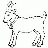 Ziege - ein Symbol des Jahres