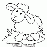 Süße Lamb