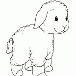 Kleines Lamm auf einem Spaziergang