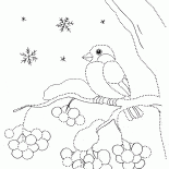 Bullfinch
