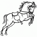 Pferd im Zirkus